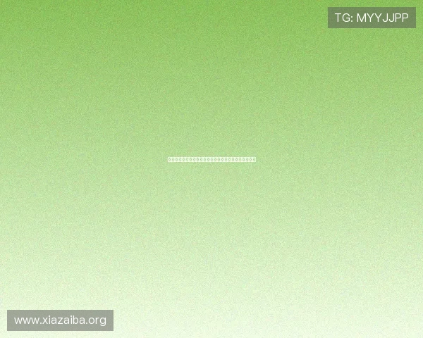 突尼斯与荷兰比赛射正次数对比：关键数据揭示比赛走势